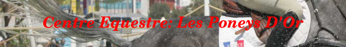 Centre Equestre: Les Poneys D'Or